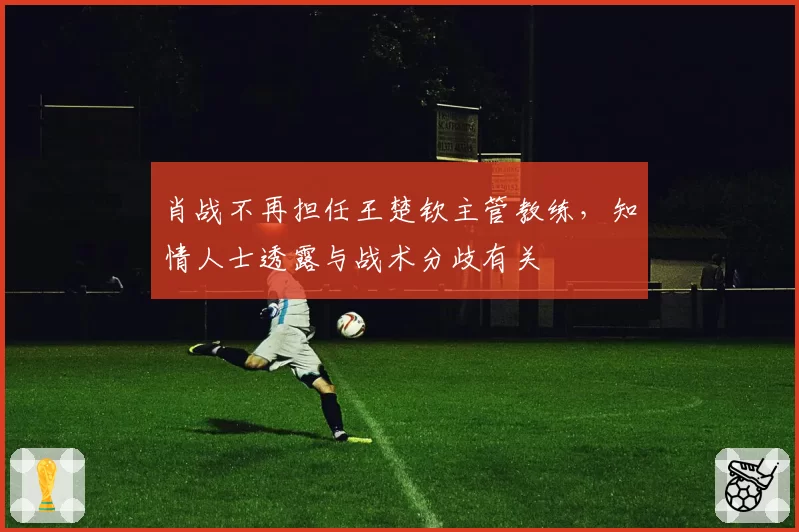 肖战不再担任王楚钦主管教练,知情人士透露与战术分歧有关